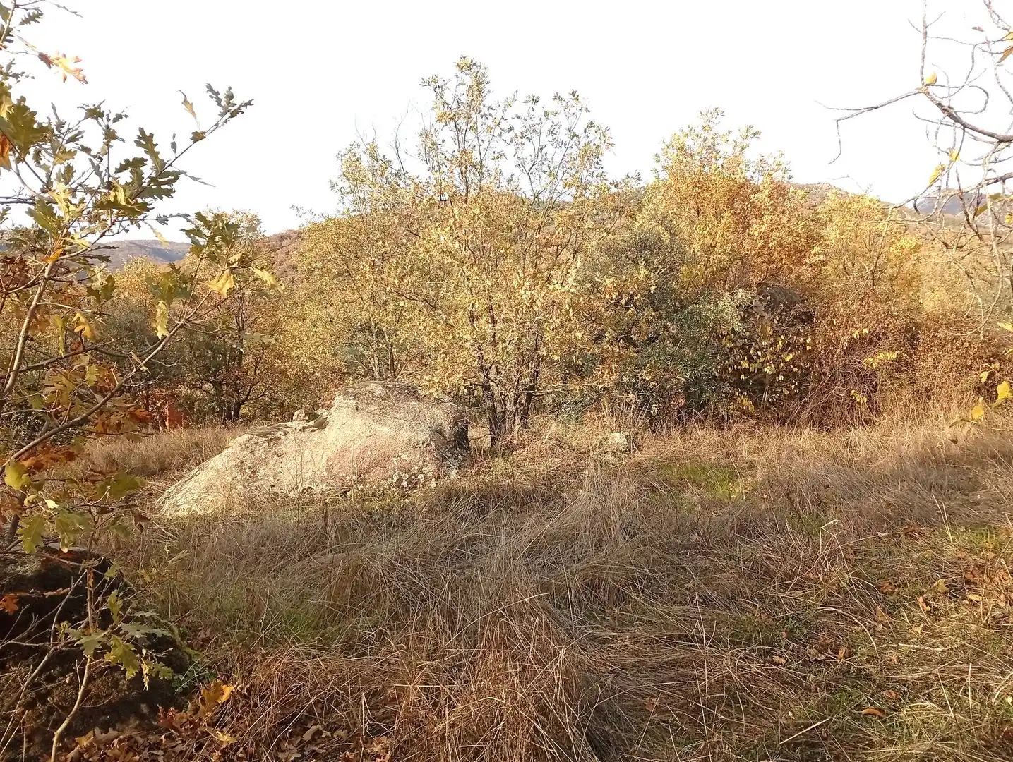 Terreni e lotti in vendita a Viandar de la Vera, imagen 52