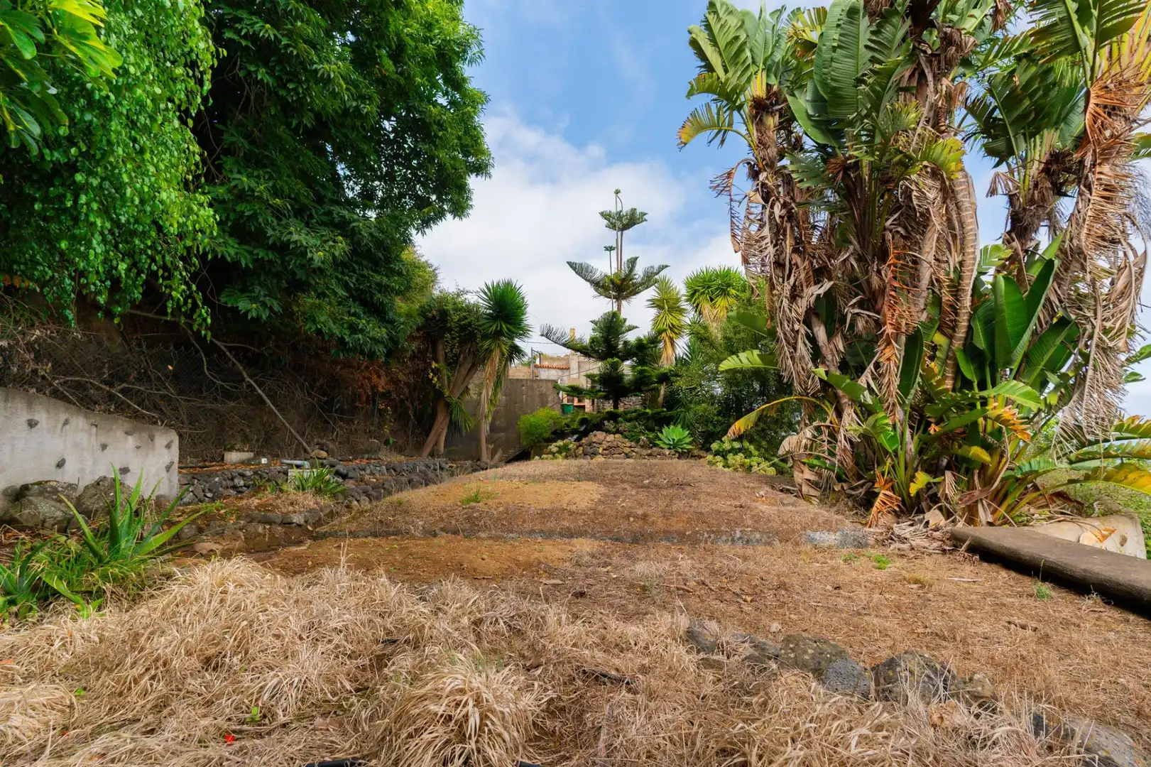 Maison rustique avec jardin à vendre à La Perdoma - San Antonio - Benijos, imagen 21
