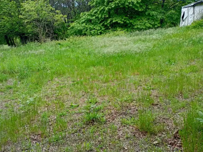 Rural land for sale in a peroxa 2, imagen 4