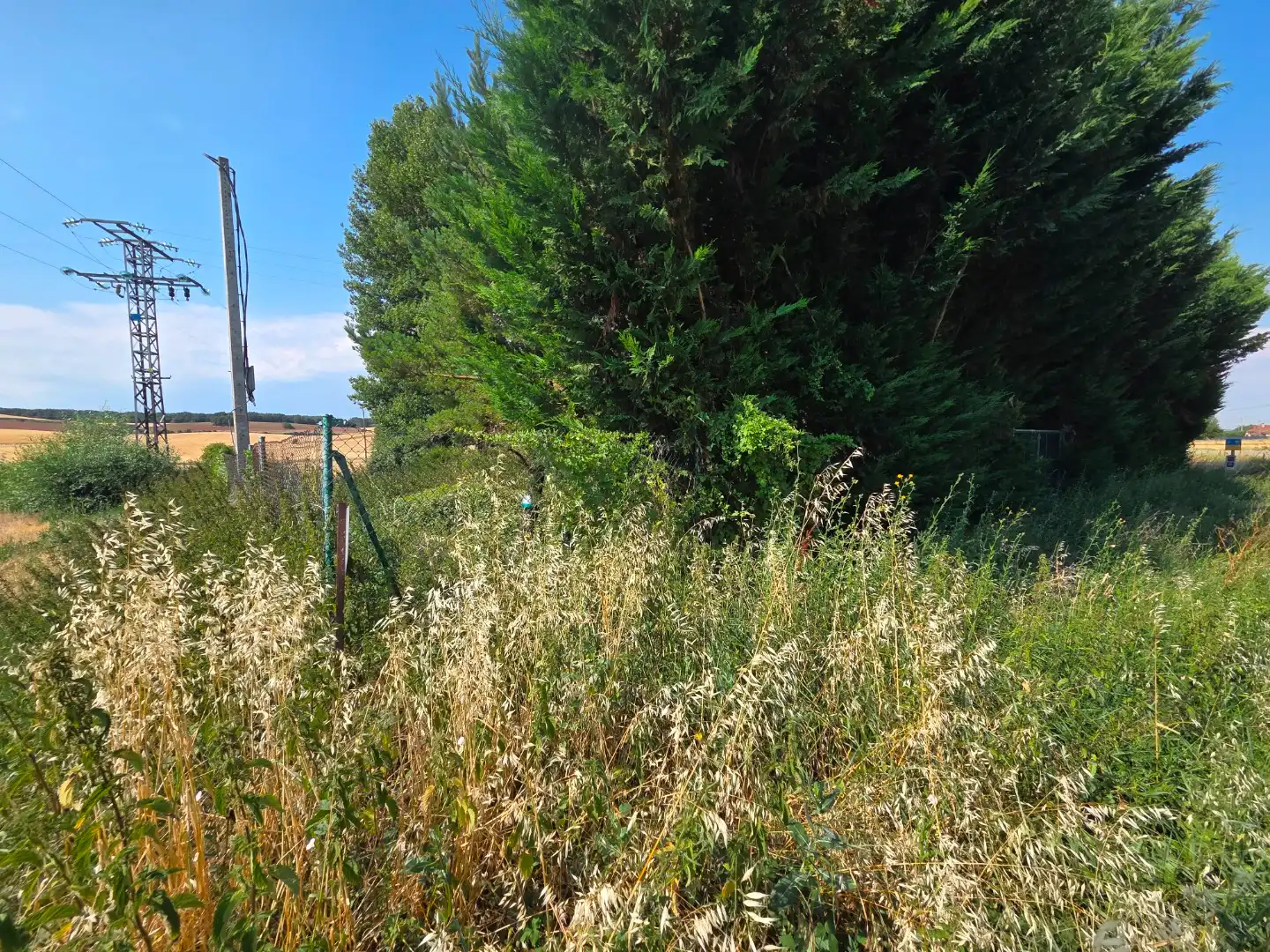 Terreno en venta en Orbaneja Riopico
