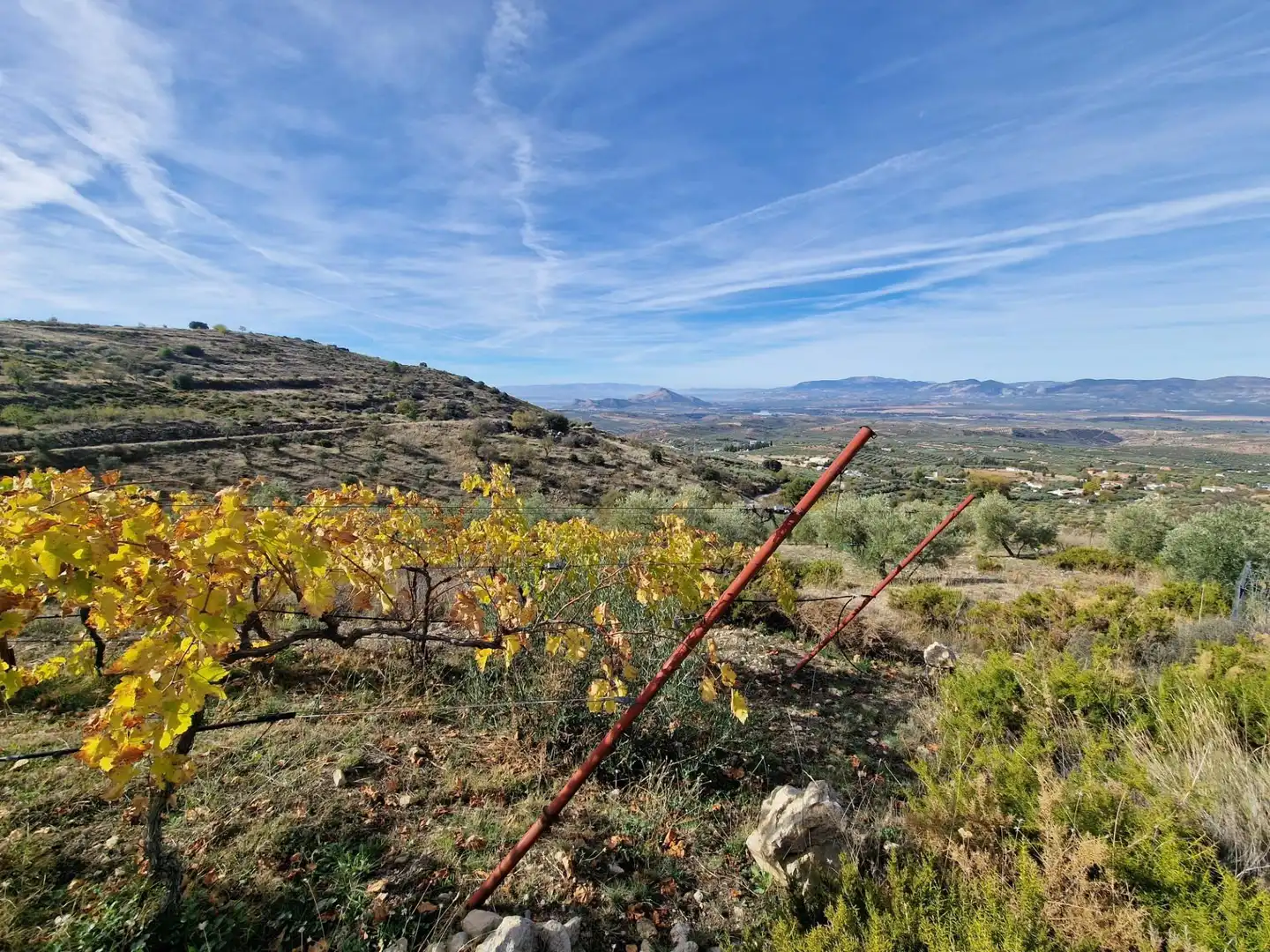 Maison rustique avec jardin à vendre à Cogollos de la Vega, imagen 57