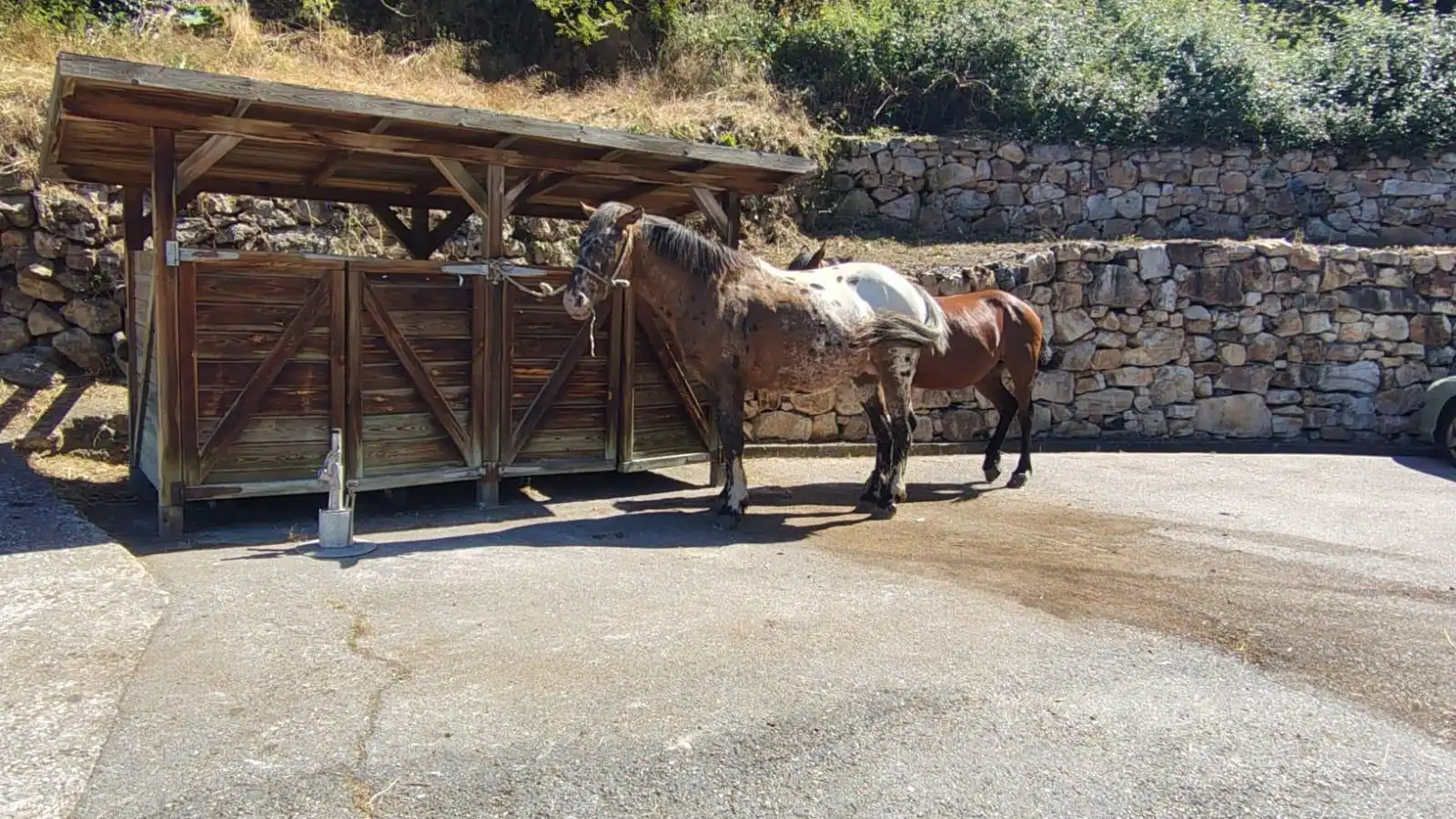 Maison rustique à vendre à Somiedo, imagen 32