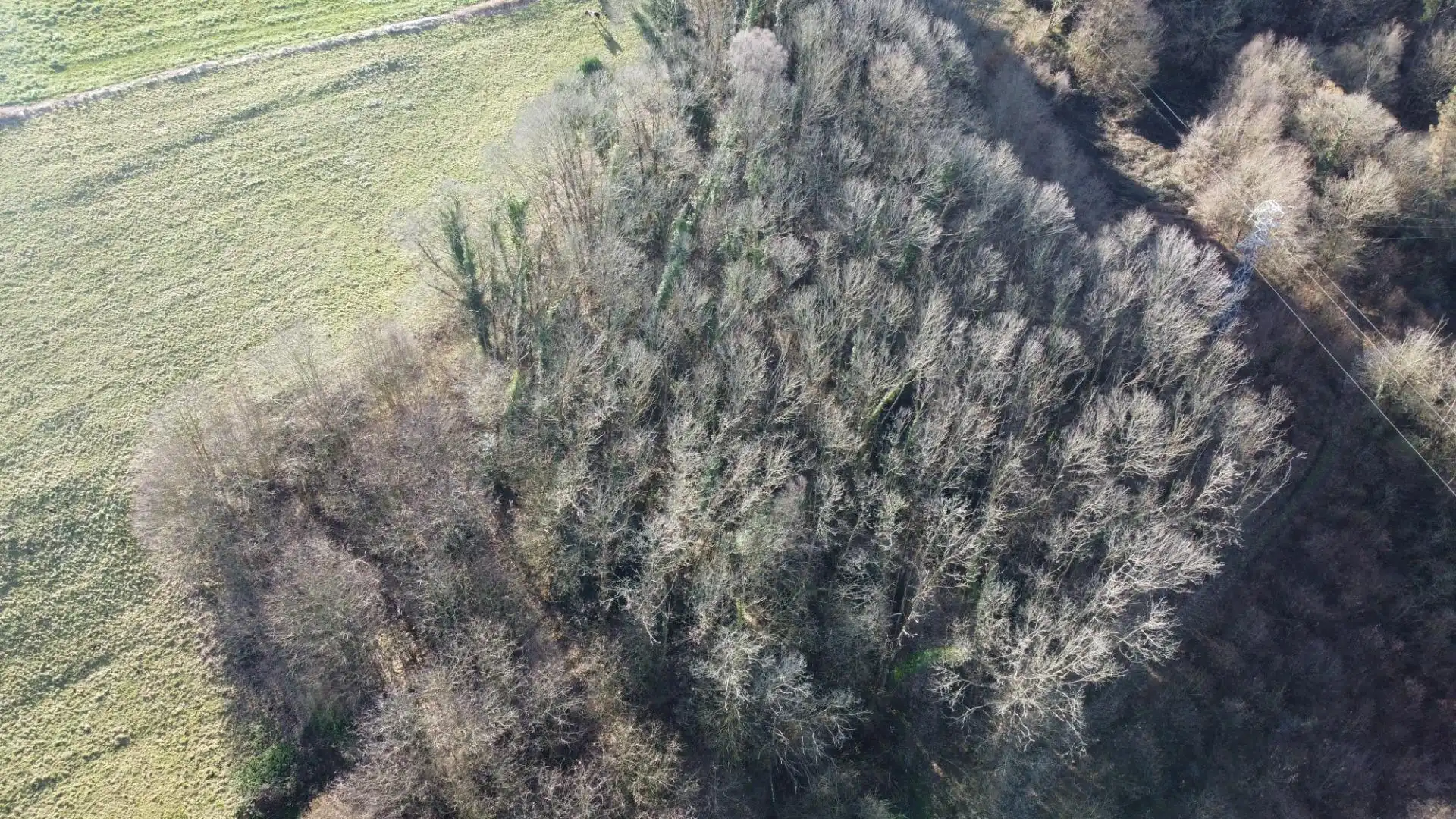 Casa o chalet en venta en Monfero