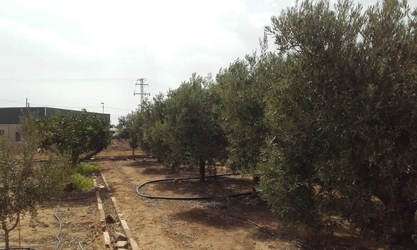 Planta baixa en venda en Fuente Álamo de Murcia amb Traster i Moblat
