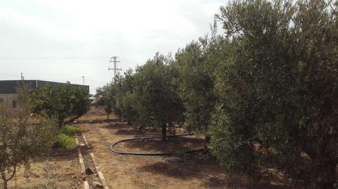 Foto 4 de Planta baixa en venda a La Pinilla - Las Palas, Murcia
