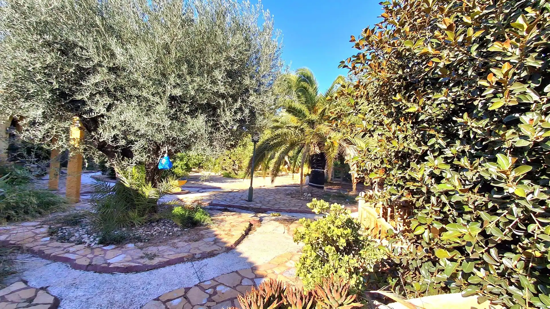 Jardín de Casa o chalet en venta en Mutxamel con Terraza
