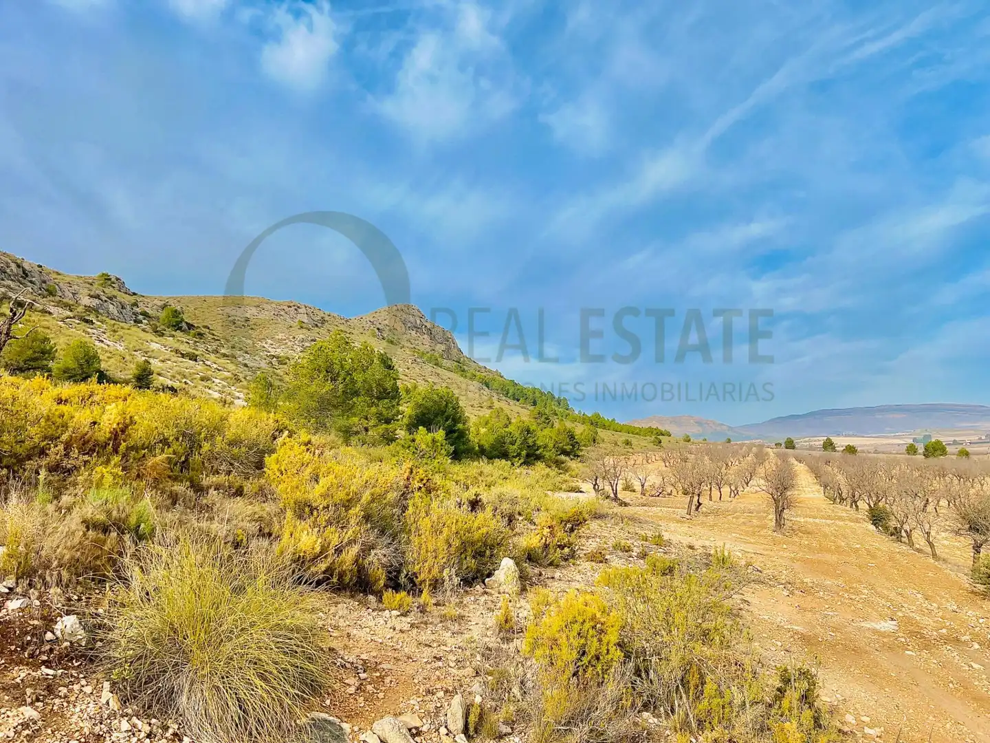 Residencial en venta en Villena