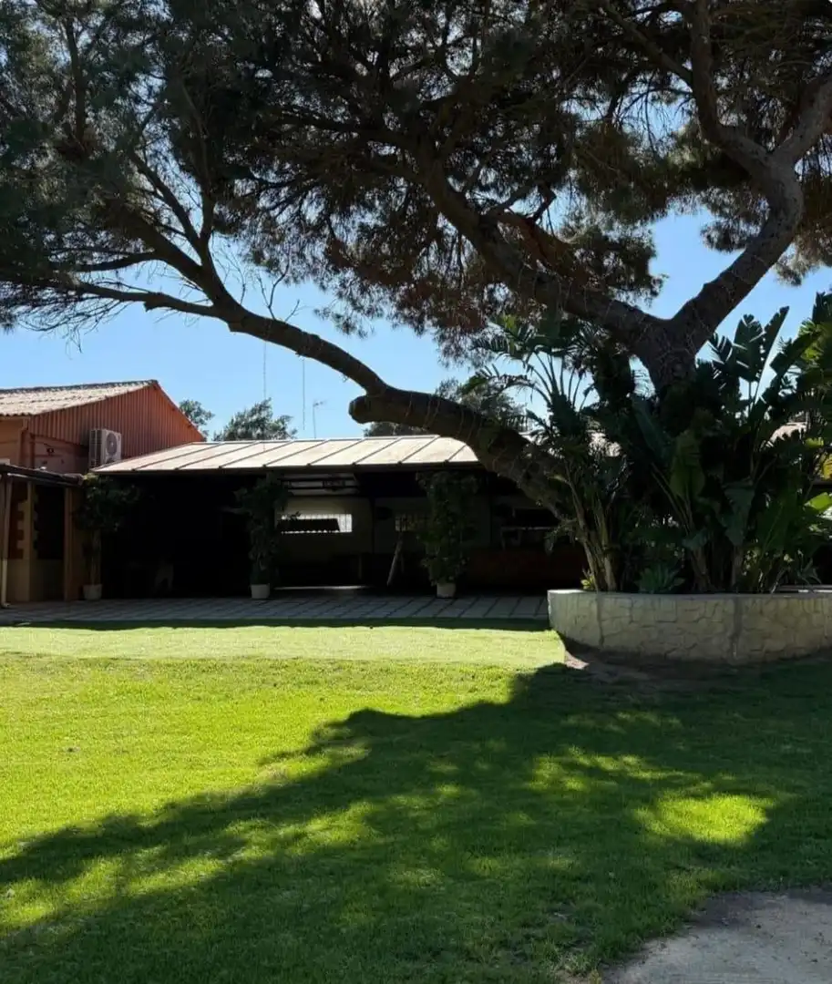 Garden of Houses for sale in Puerto Real