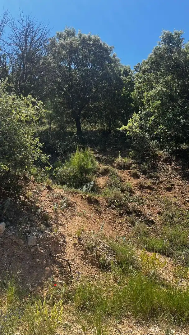 Terrenos y solares en venta en Hontoba, imagen 4