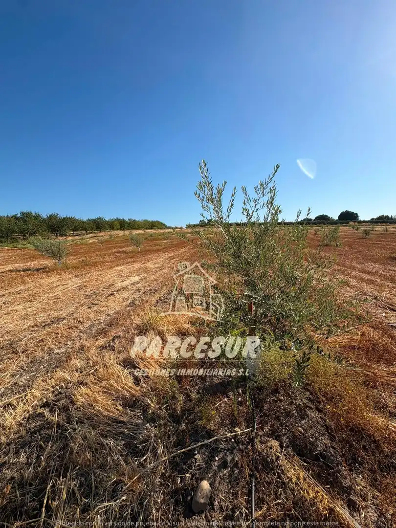 Terreno rustico in vendita a Periurbano Oeste - Sierra