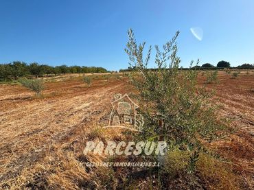 Terreno rústico en venta en Periurbano Oeste - Sierra