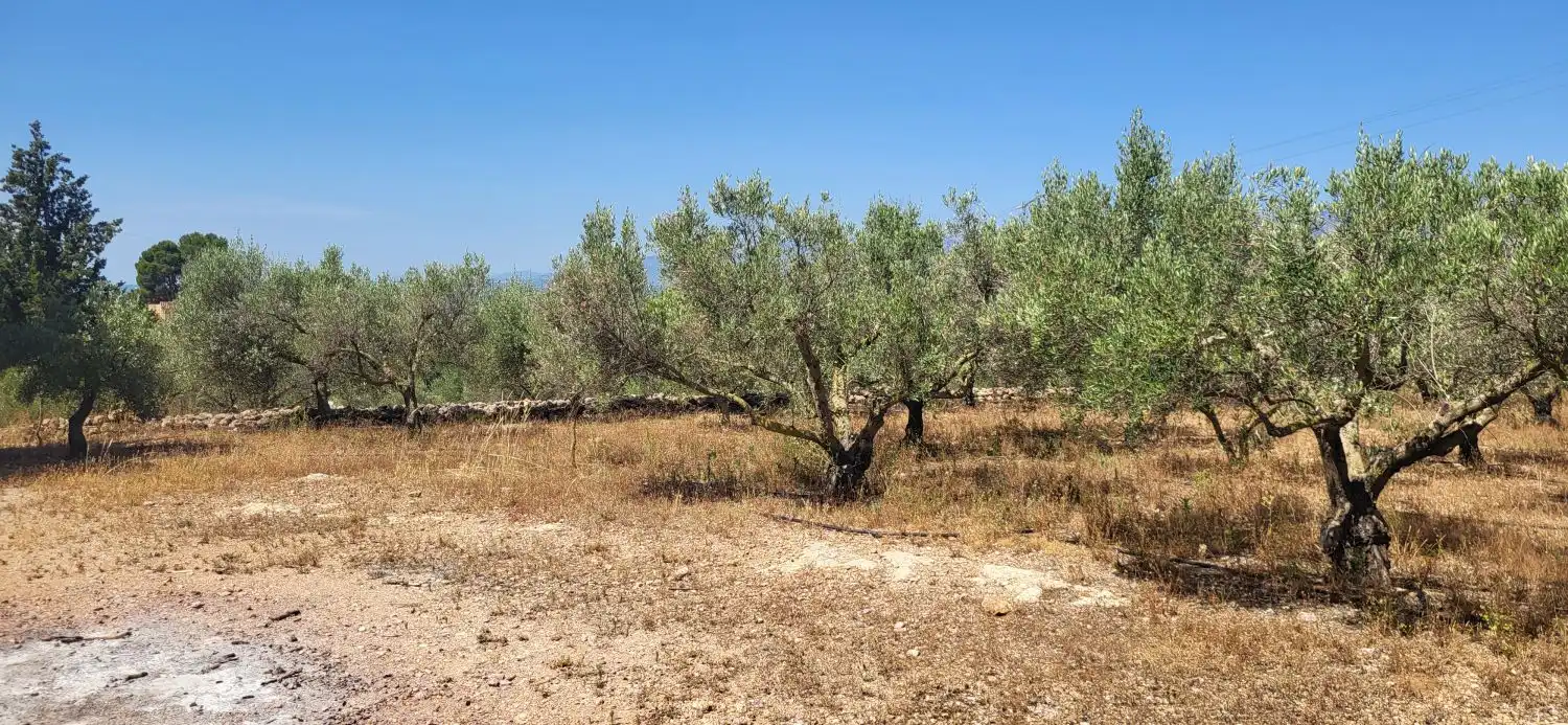 Country house for sale in N/A, imagen 13