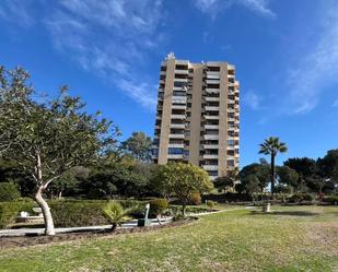 Vista exterior de Estudi de lloguer en Marbella amb Aire condicionat i Piscina comunitària