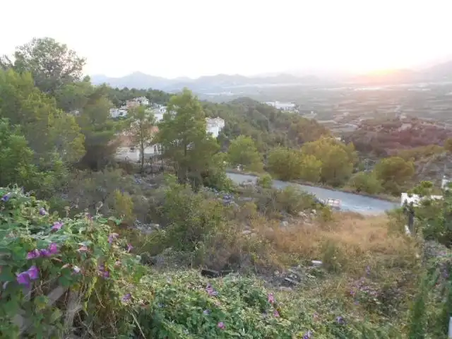 Terrenys i solars en venda a La Font d'en Carròs