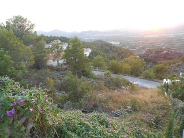 Lands and plots for sale in La Font d'en Carròs