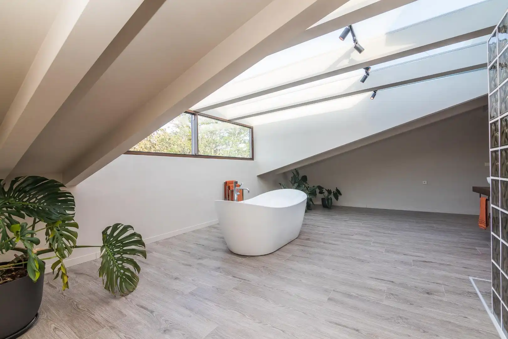 Bany de Casa o xalet en venda en Aspe amb Aire condicionat, Calefacció i Jardí privat