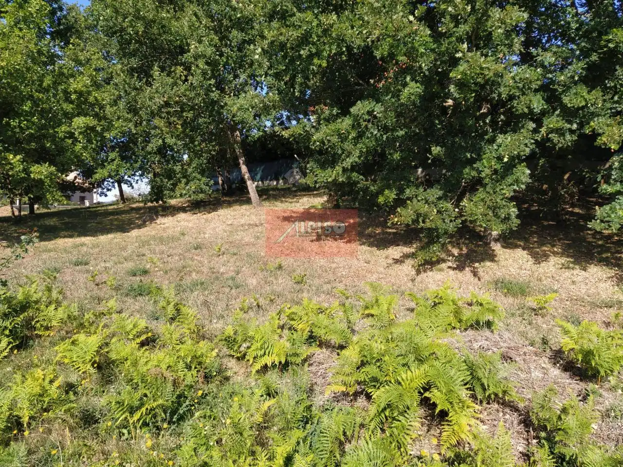 Terreni e lotti in vendita a O Pereiro de Aguiar, imagen 3