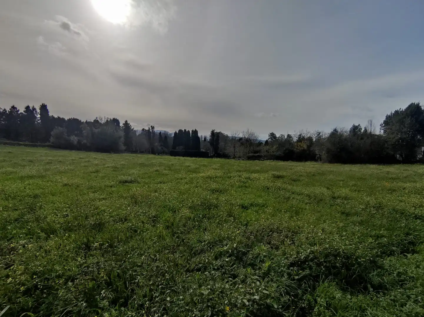 Terreni e lotti in vendita a Barganiza, La - Polígono 72 Parcela 150, imagen 11
