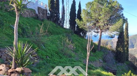Foto 3 de Casa o xalet en venda a Diseminados Benamayor, Cómpeta, Málaga