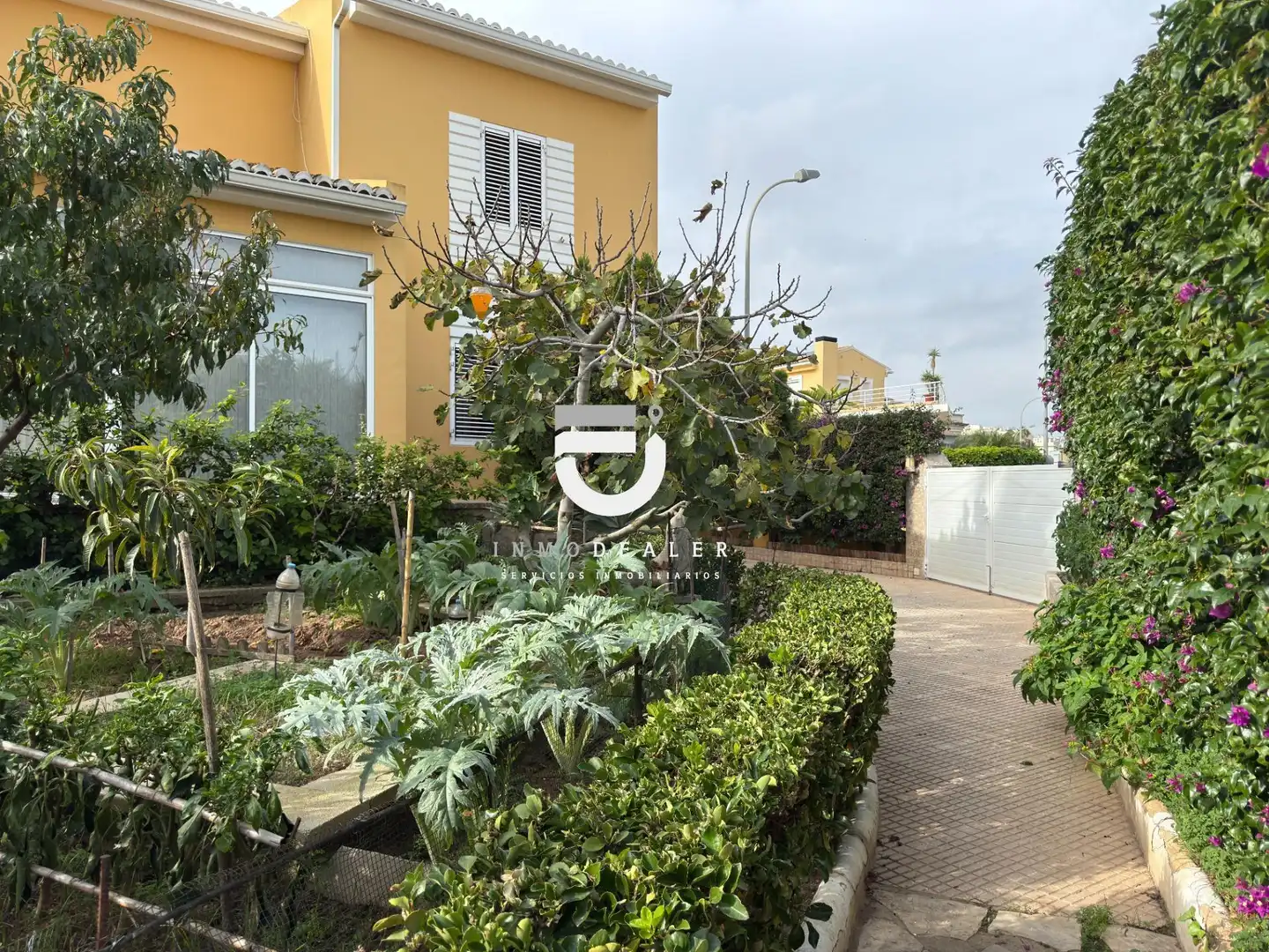 Jardí de Casa o xalet en venda en Oliva amb Jardí privat, Terrassa i Piscina