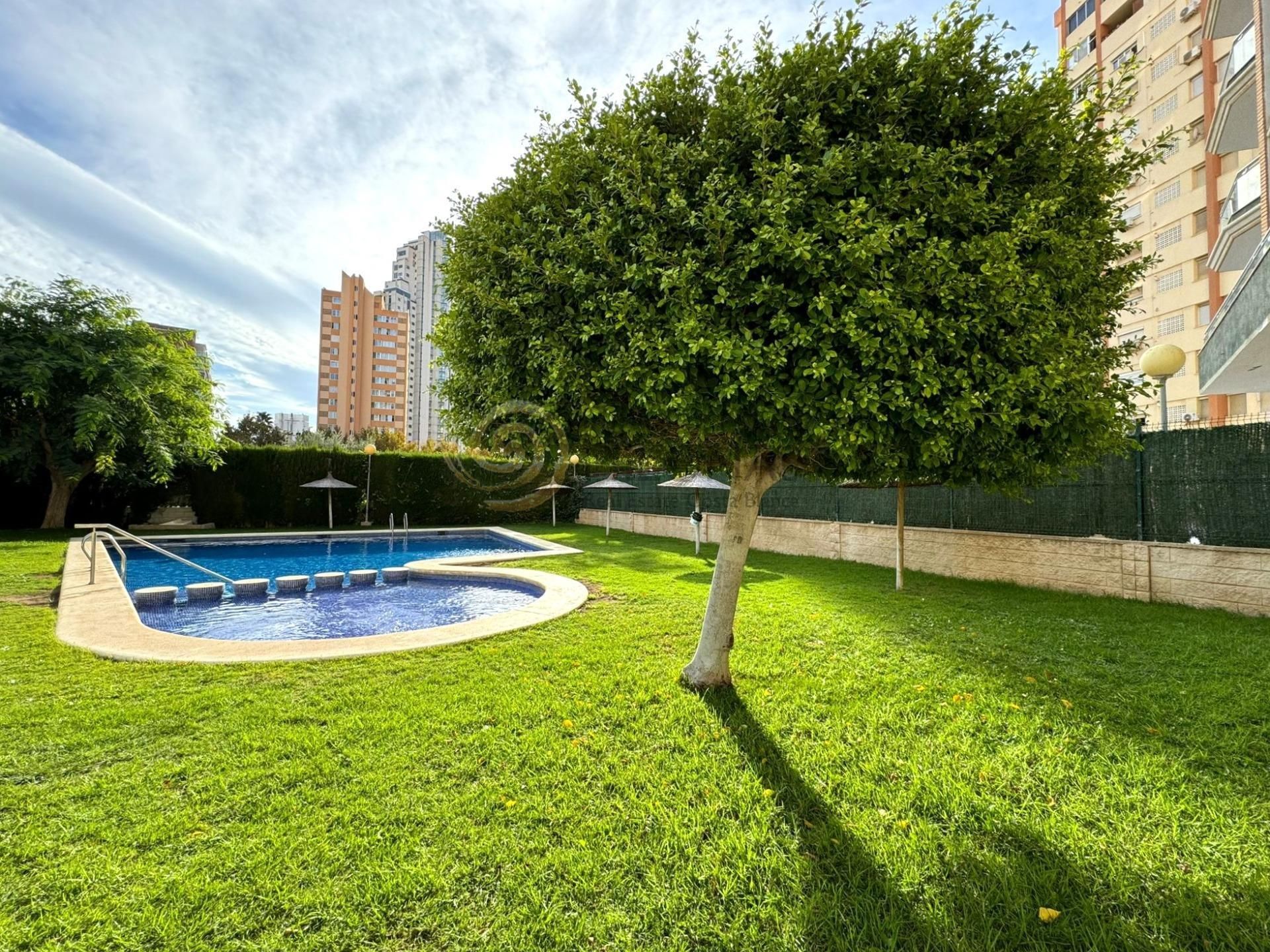 Swimming pool of Apartment for sale in Benidorm  with Private garden, Terrace and Community pool