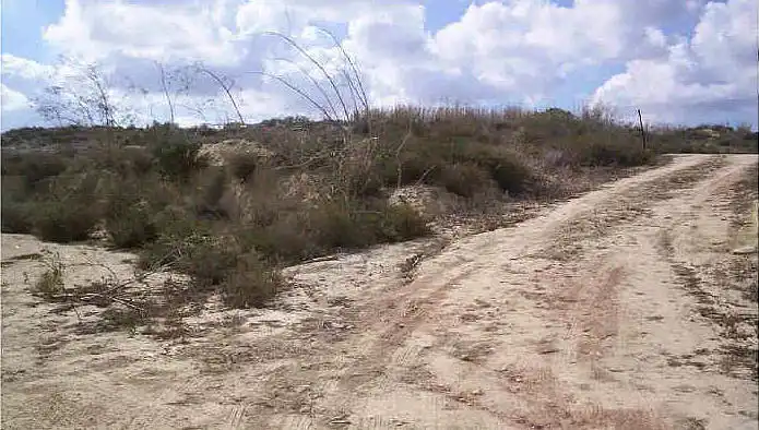 Terreny rústic en venda a Paraje Lo Pujol, Hacienda Lo Catalan, Pol 13, parcela 103, imagen 8