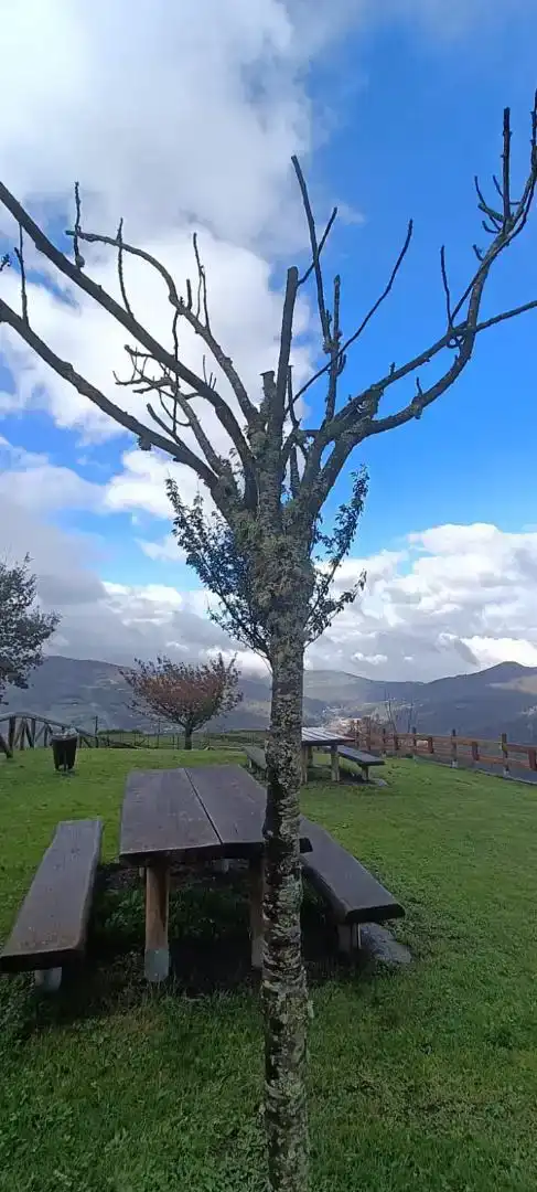 Vista exterior de Finca rústica en venda en Mieres (Asturias) amb Balcó