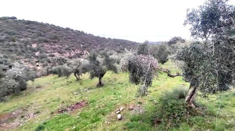 Photo 5 of Residential for sale in 7. Parcela, Villanueva del Rey, Córdoba