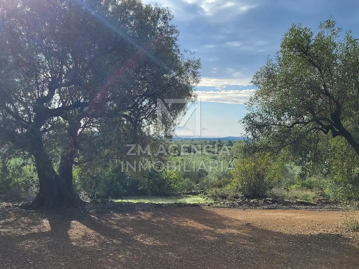 Casa rústica en venta en Traiguera, imagen 7