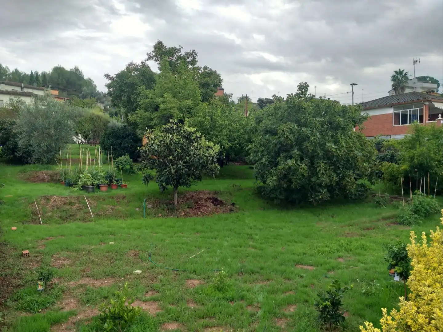 Wohnbaugrundstück zum Verkauf in Montjuic 39, imagen 15