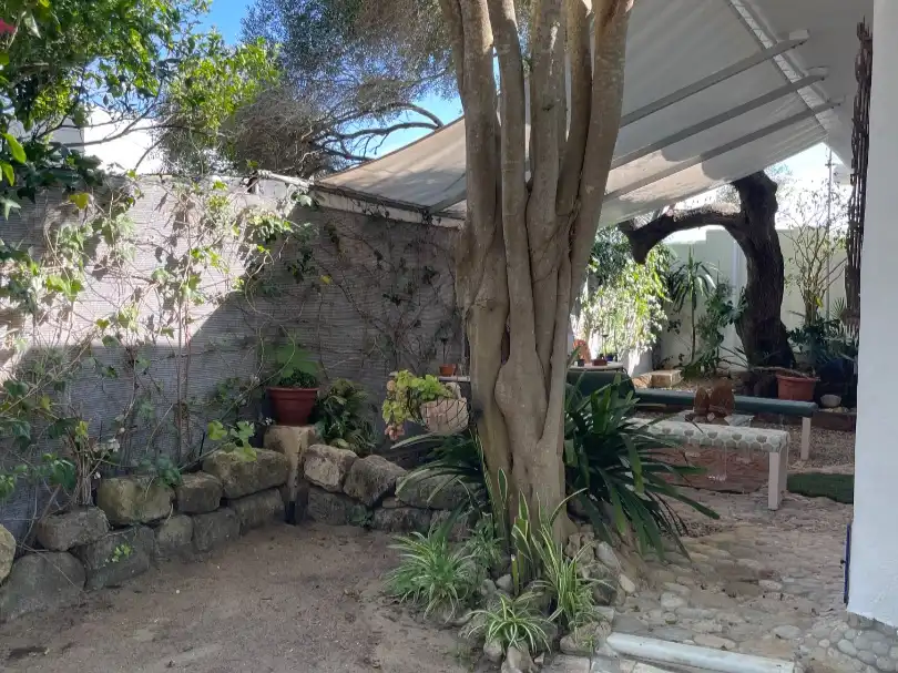 Villa mit Garten zur Miete in Calle Sotavento 6, imagen 14