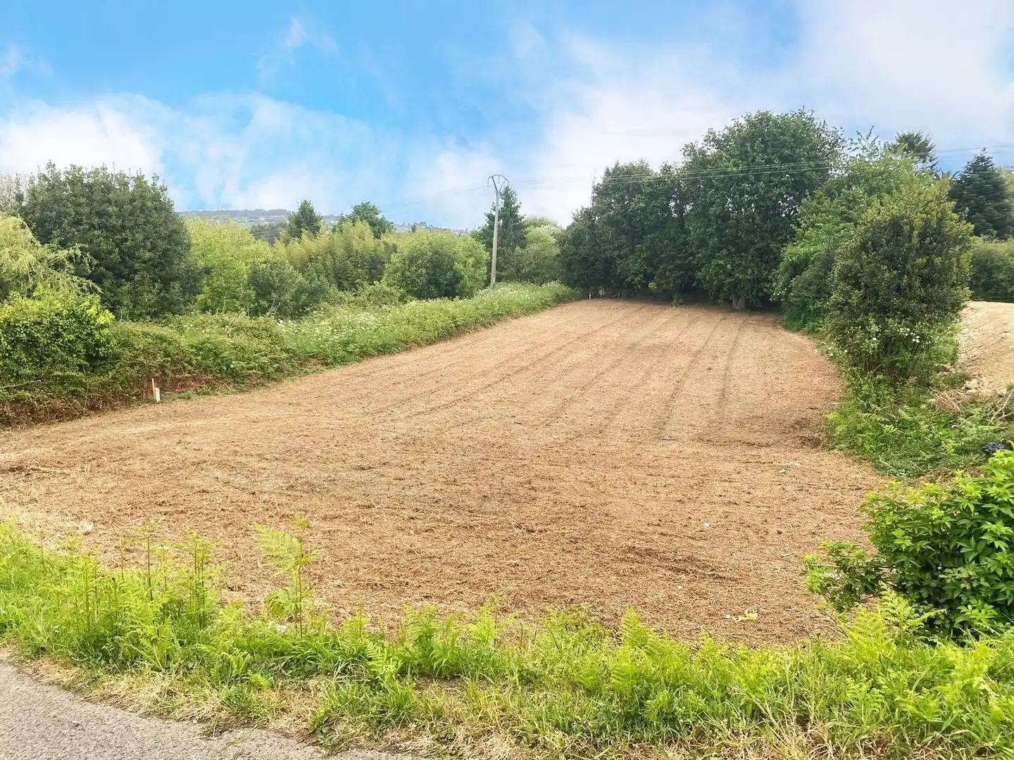 Rural land for sale in Calle Garduña