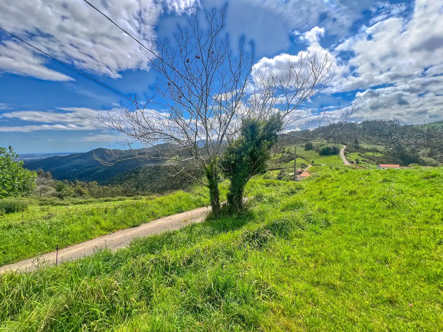 Lands and plots for sale in Pillarno, imagen 17