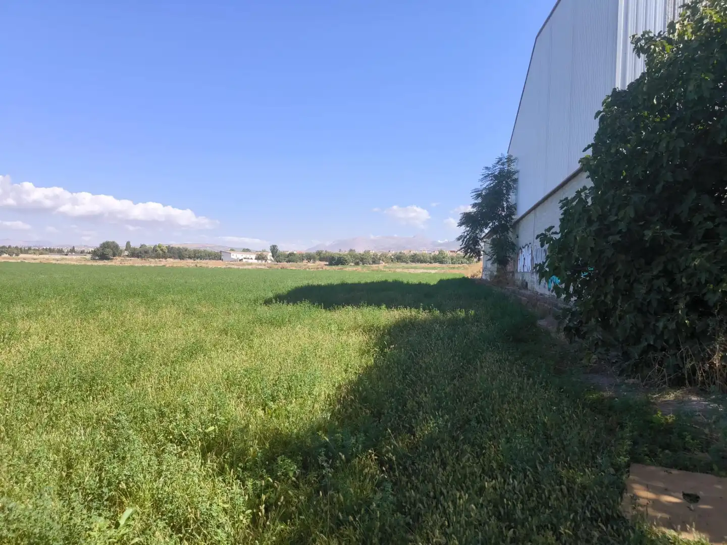 Industrial land for sale in Maracena, Granada