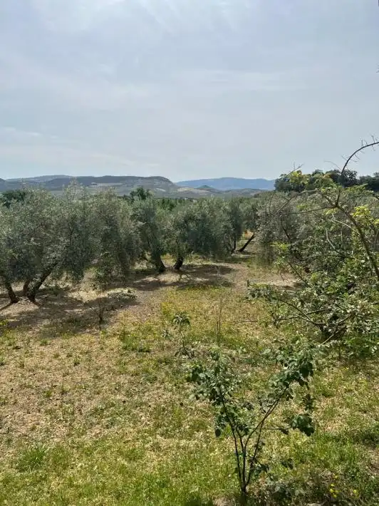 Terreny rústic en venda a Priego de Córdoba, imagen 2