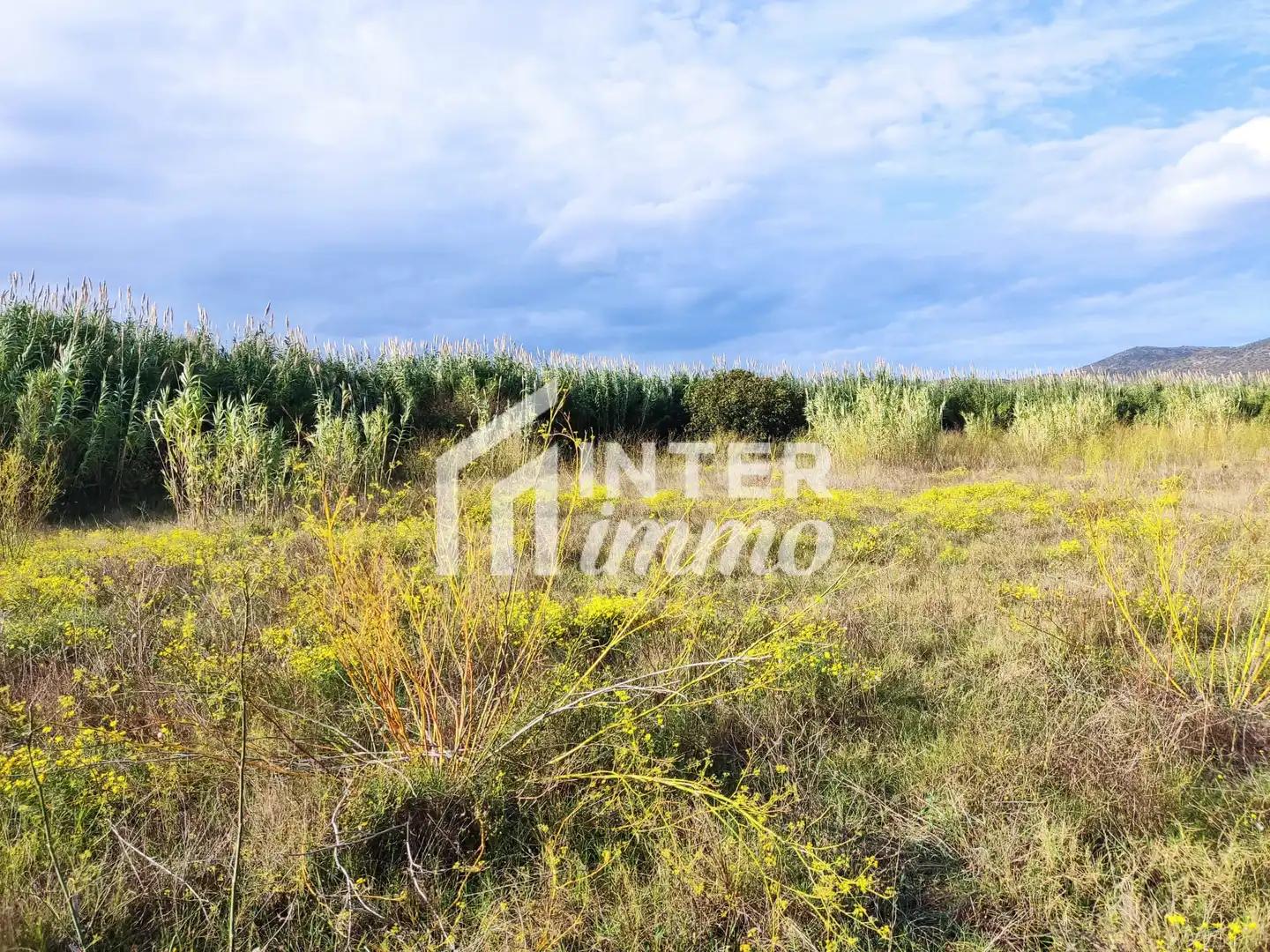Residential land for sale in Carretera Vilamacolum 0, imagen 8