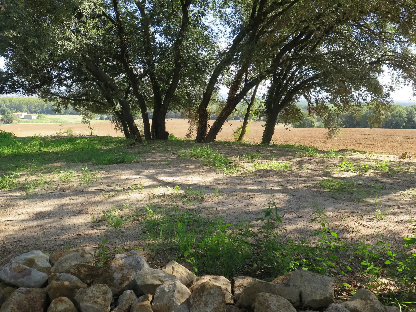 Casa o xalet de lloguer en Sant Andreu Salou amb Calefacció, Jardí privat i Terrassa