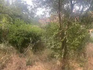 Residencial en venta en Las Rozas de Madrid