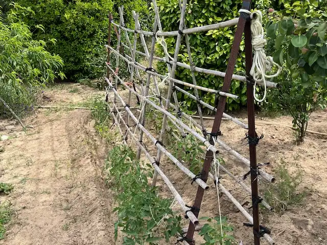 Terreni e lotti in vendita a Zafra, imagen 13