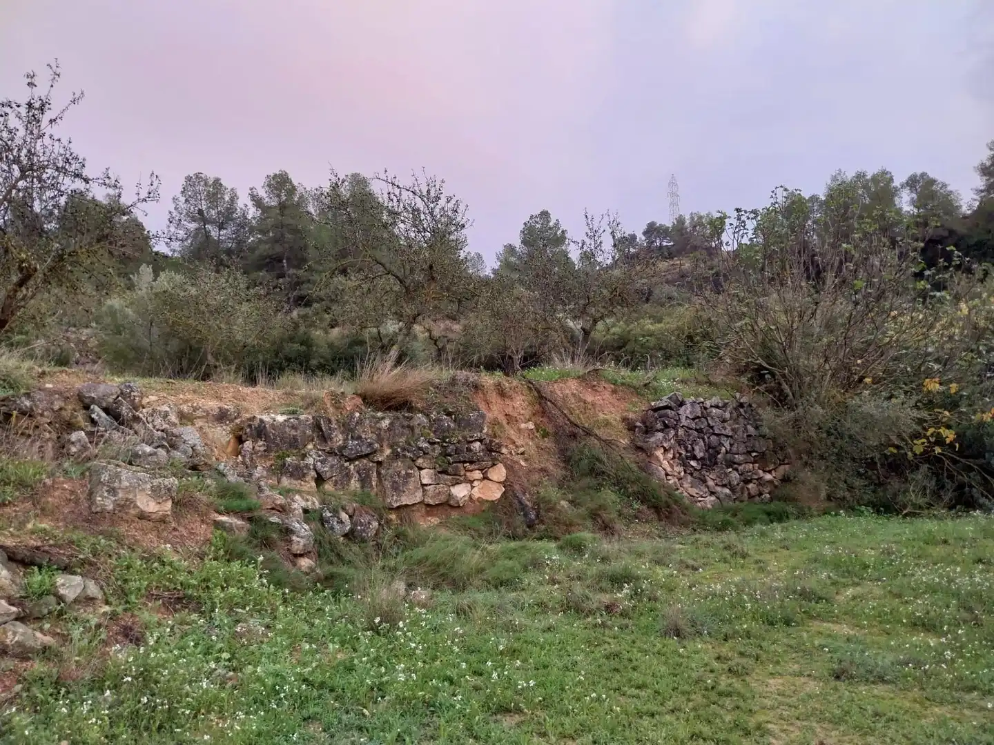 Terrain rustique à vendre à Vinebre, imagen 12