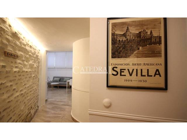 Estudio en Alquiler en Calle Tintes en San Bartolomé