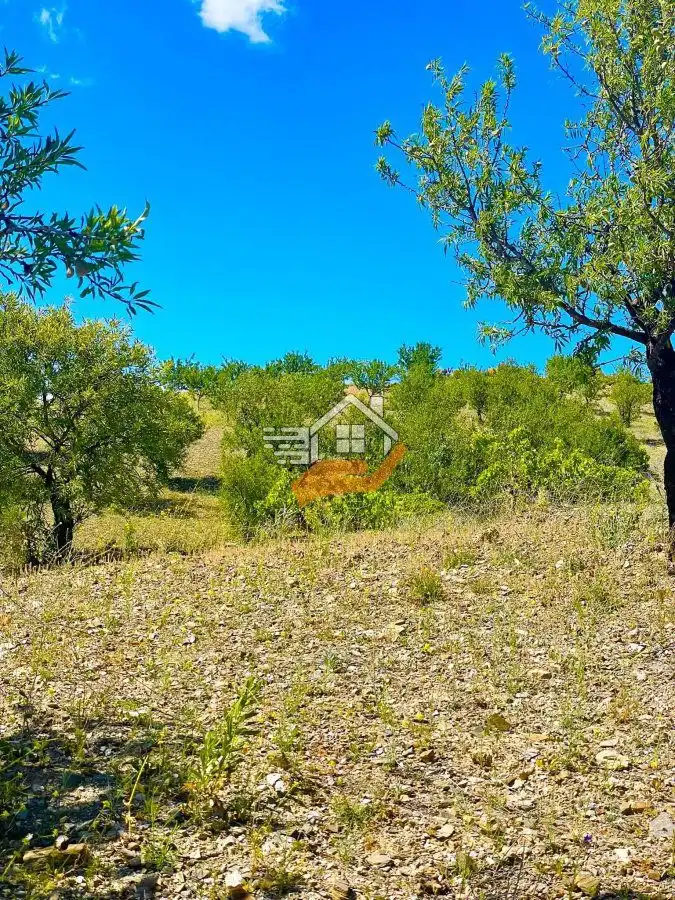 Residential land for sale in Vélez-Rubio, imagen 4
