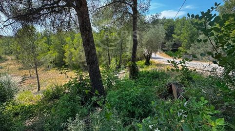 Terreno urbanizable en ptda Coll de Lalba Tortosa
