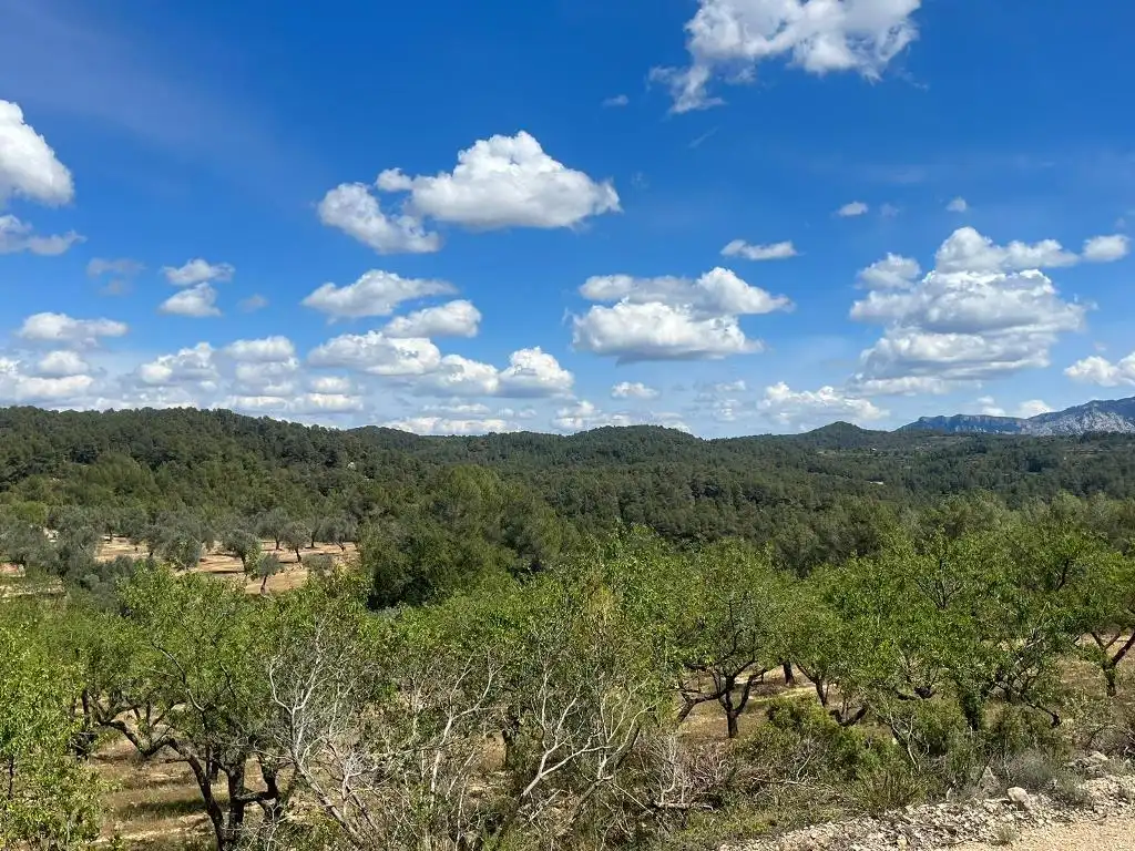 Vista exterior de Terreno en venta en Horta de Sant Joan