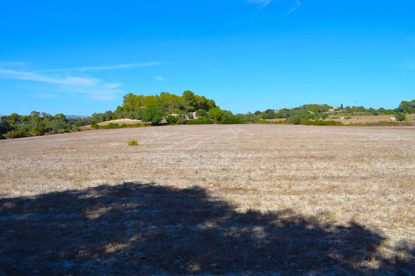 Terreny residencial en venda a Llubí, imagen 7