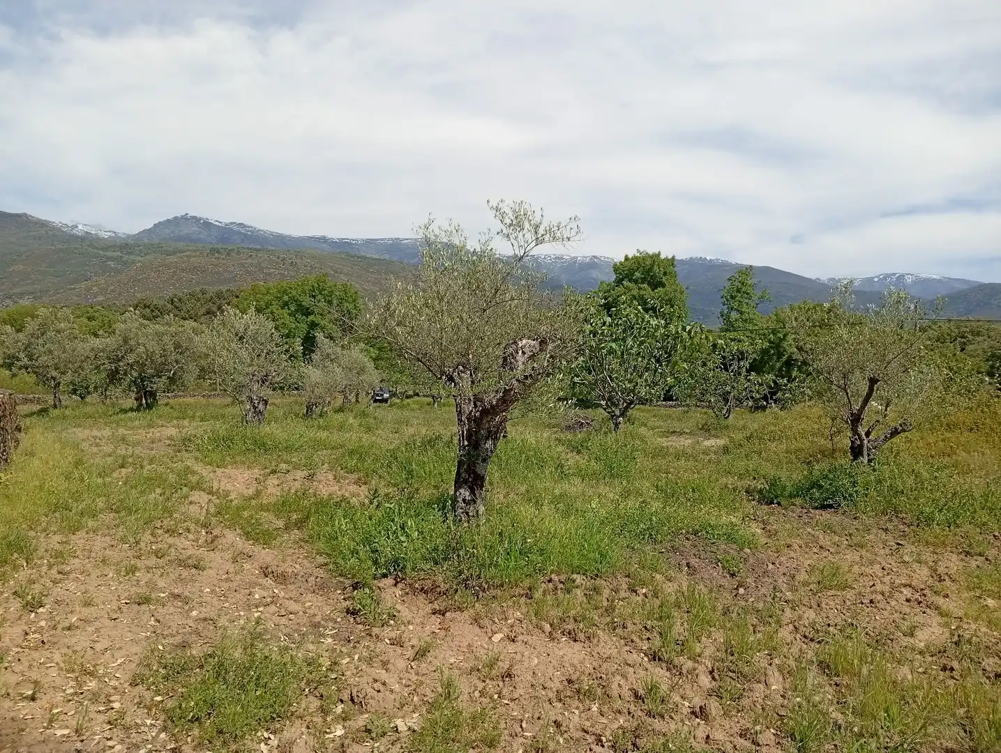 Terreni e lotti in vendita a Villanueva de la Vera, imagen 48