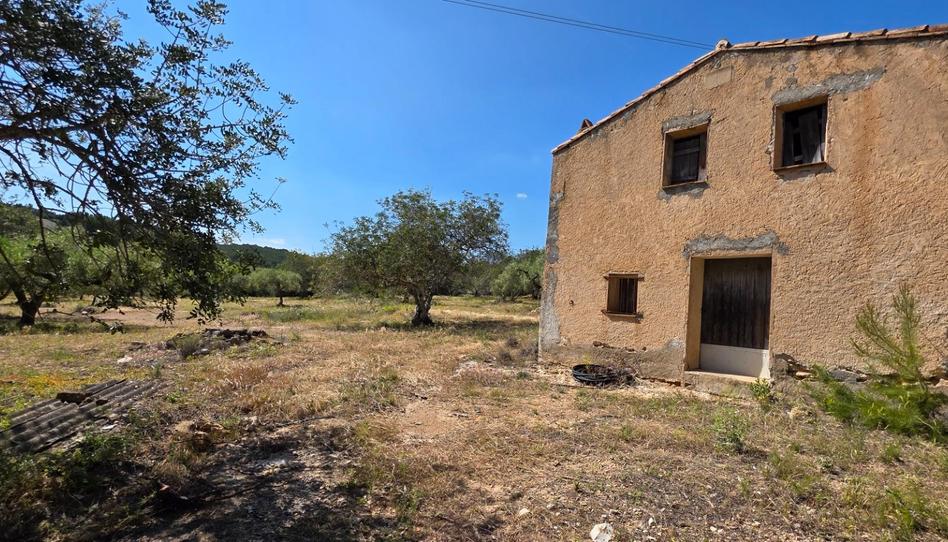 Foto 1 de Finca rústica en venda a Tivissa, Tarragona