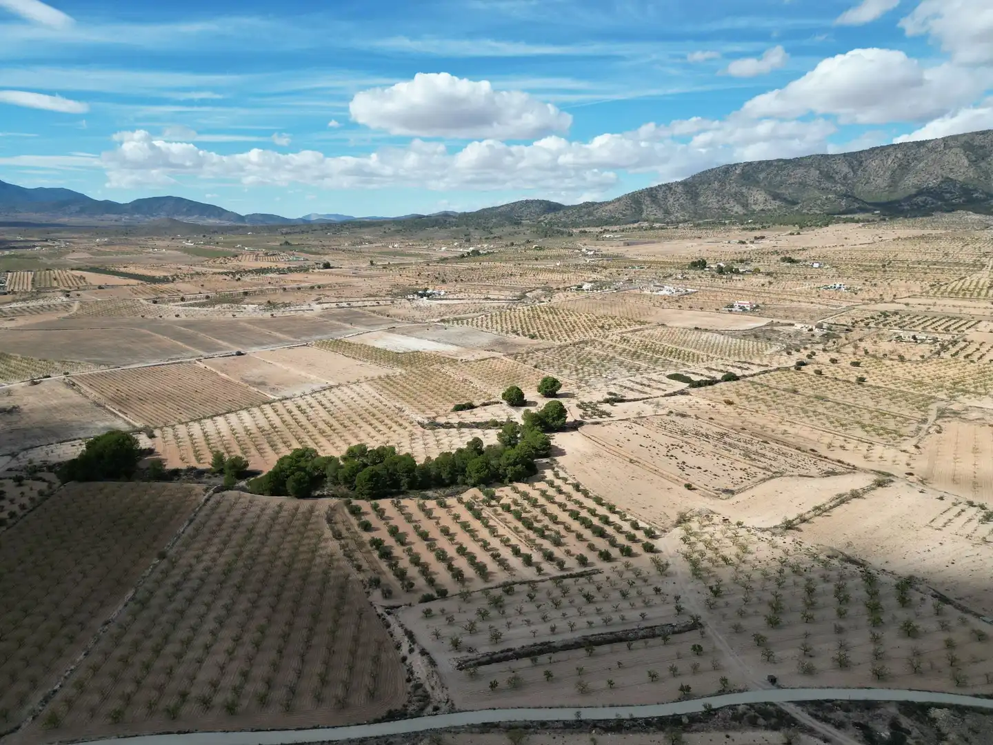 Terreno residencial en venta en El Pinós / Pinoso, imagen 15