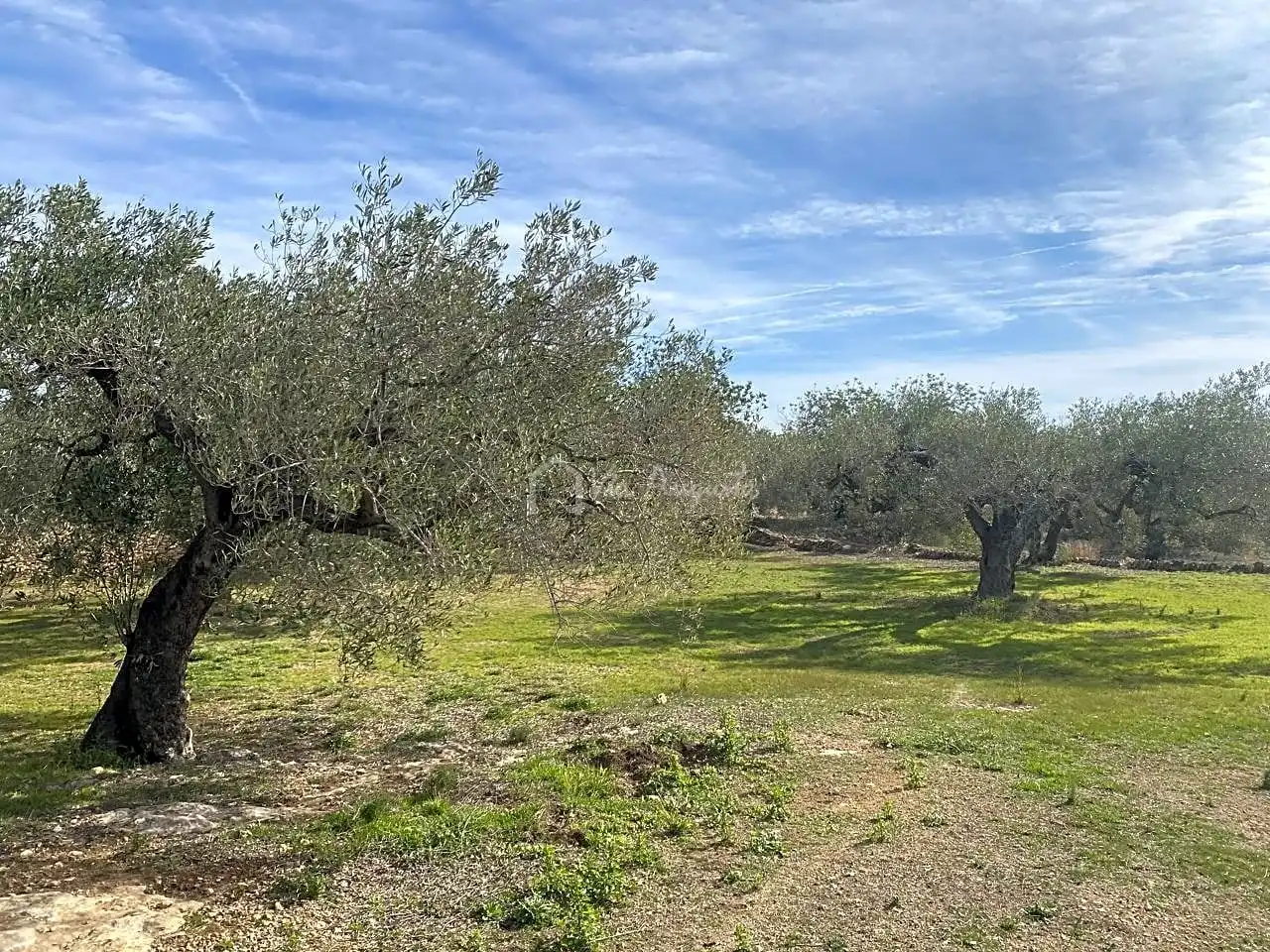 Terreno rustico in vendita a Planas, imagen 3