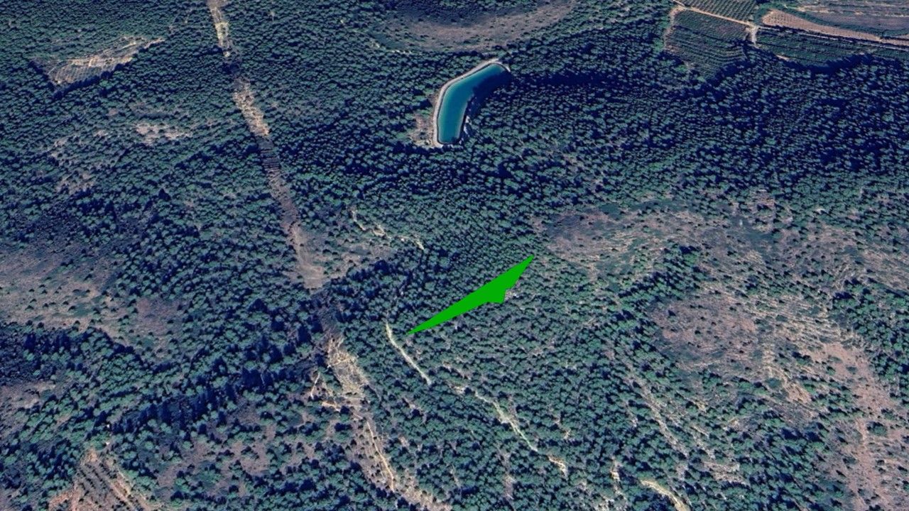 Land for sale in Fanzara